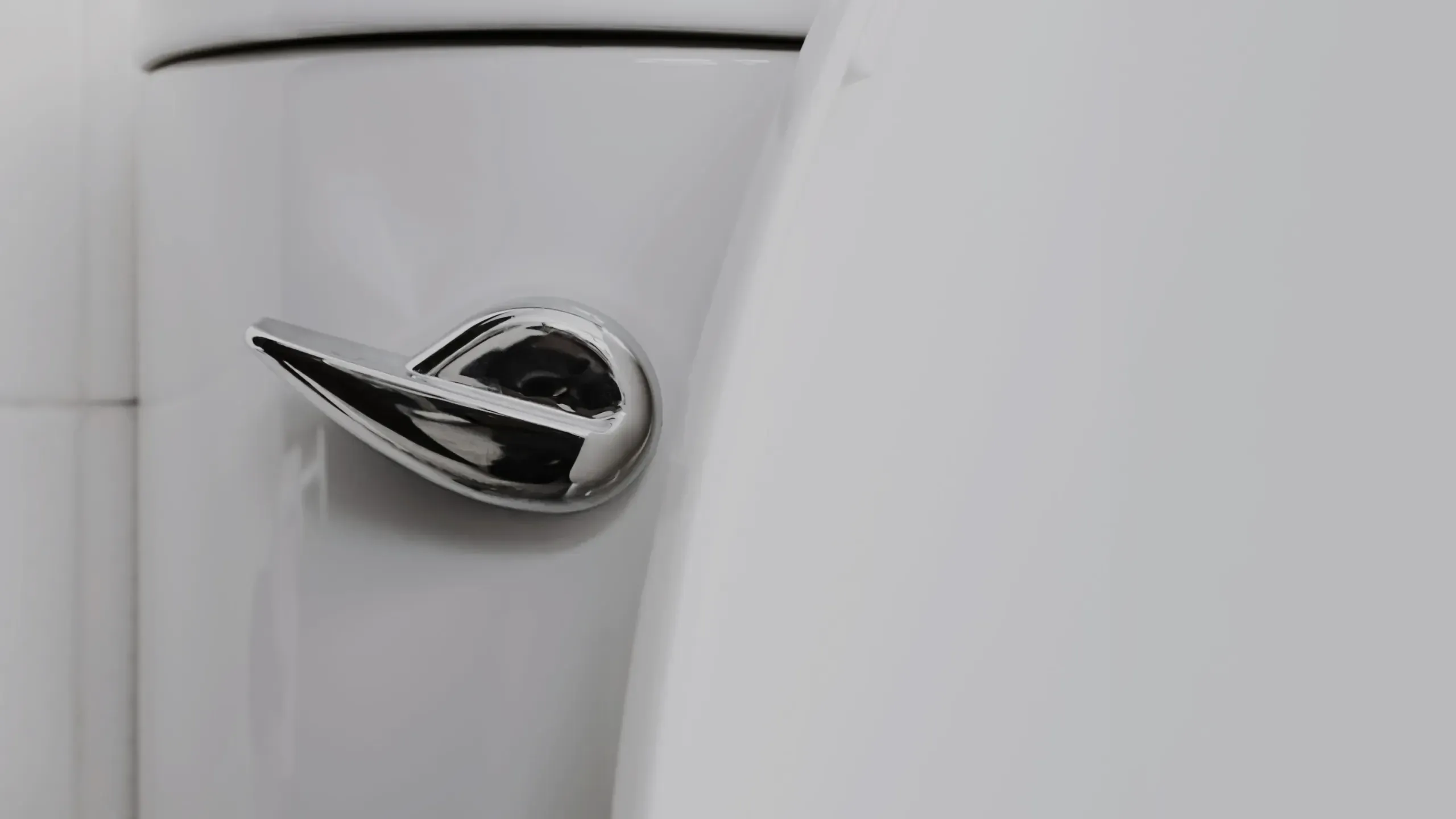 A chrome door handle on a pale door.