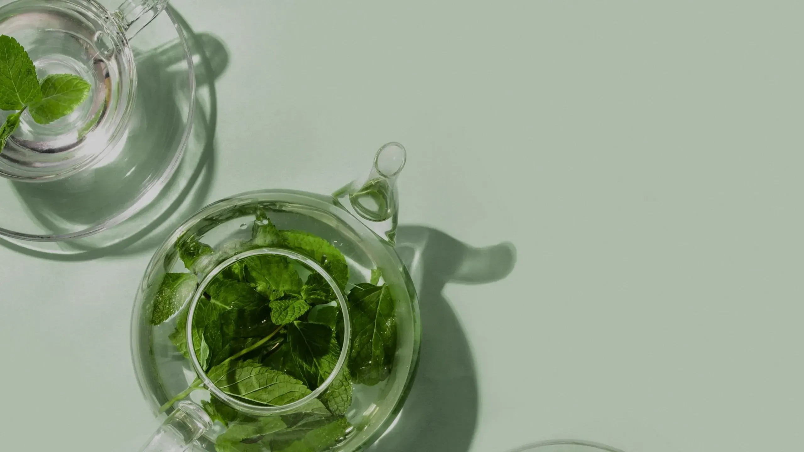 A glass teapot and cup of fresh mint tea seen from above on a pale green surface