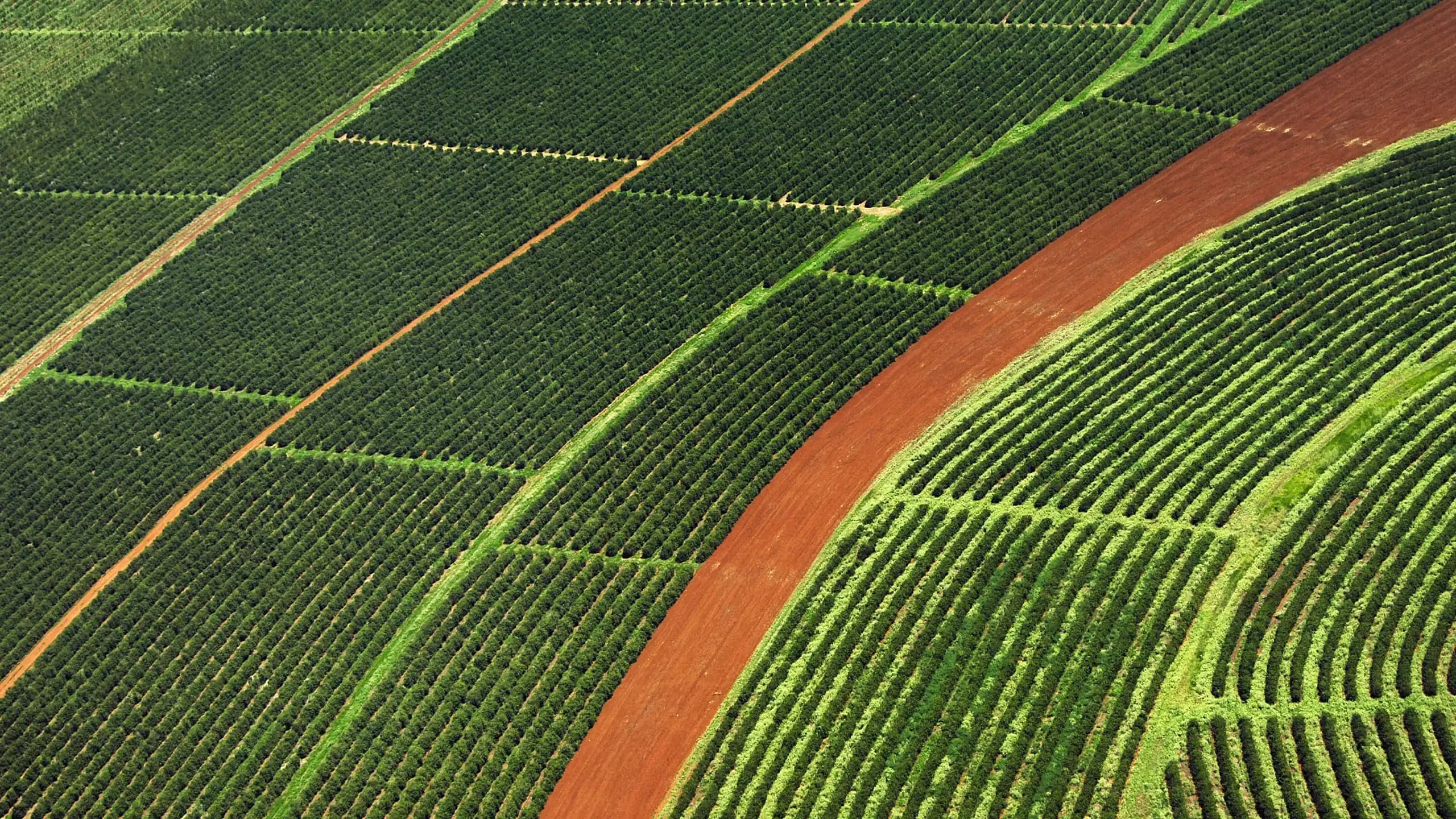 Rows of cultivated farmland seen from the air, a red-earth road curving between the fields