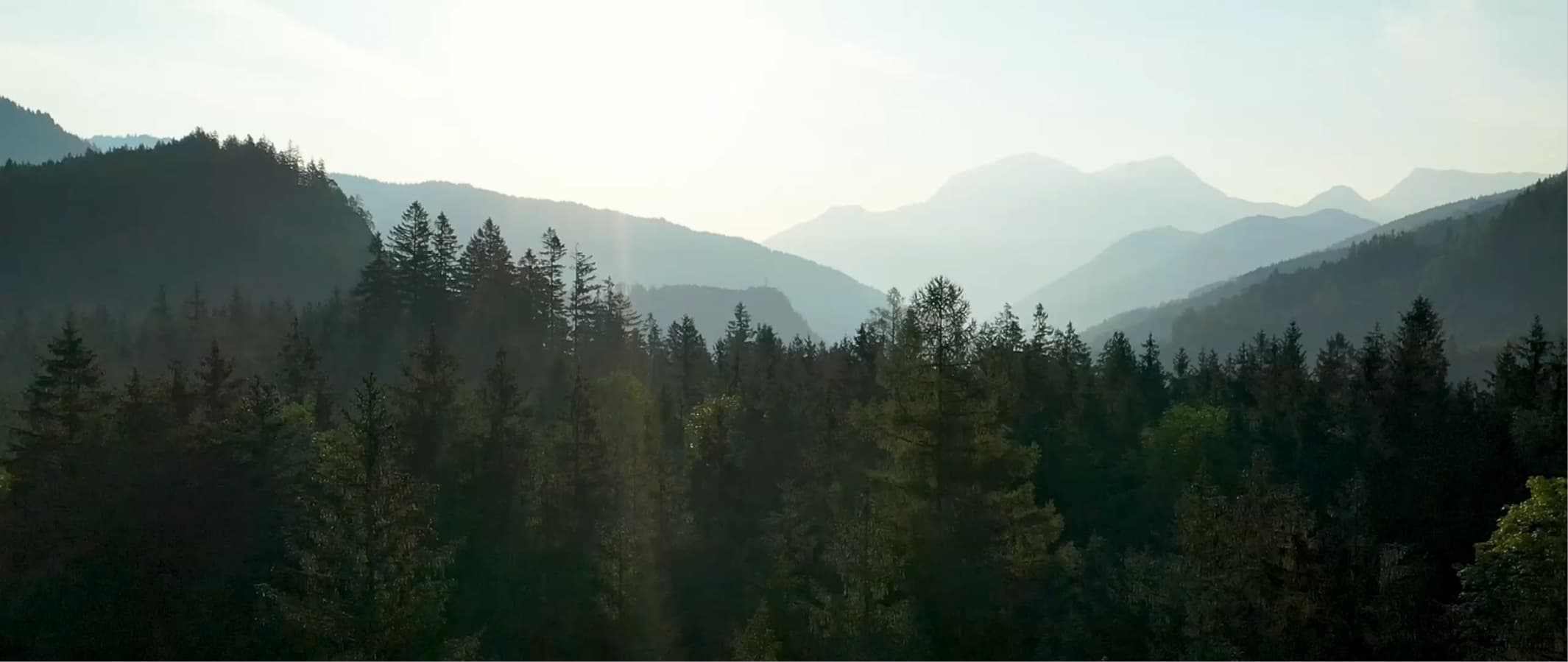 Forested mountain valley at dusk