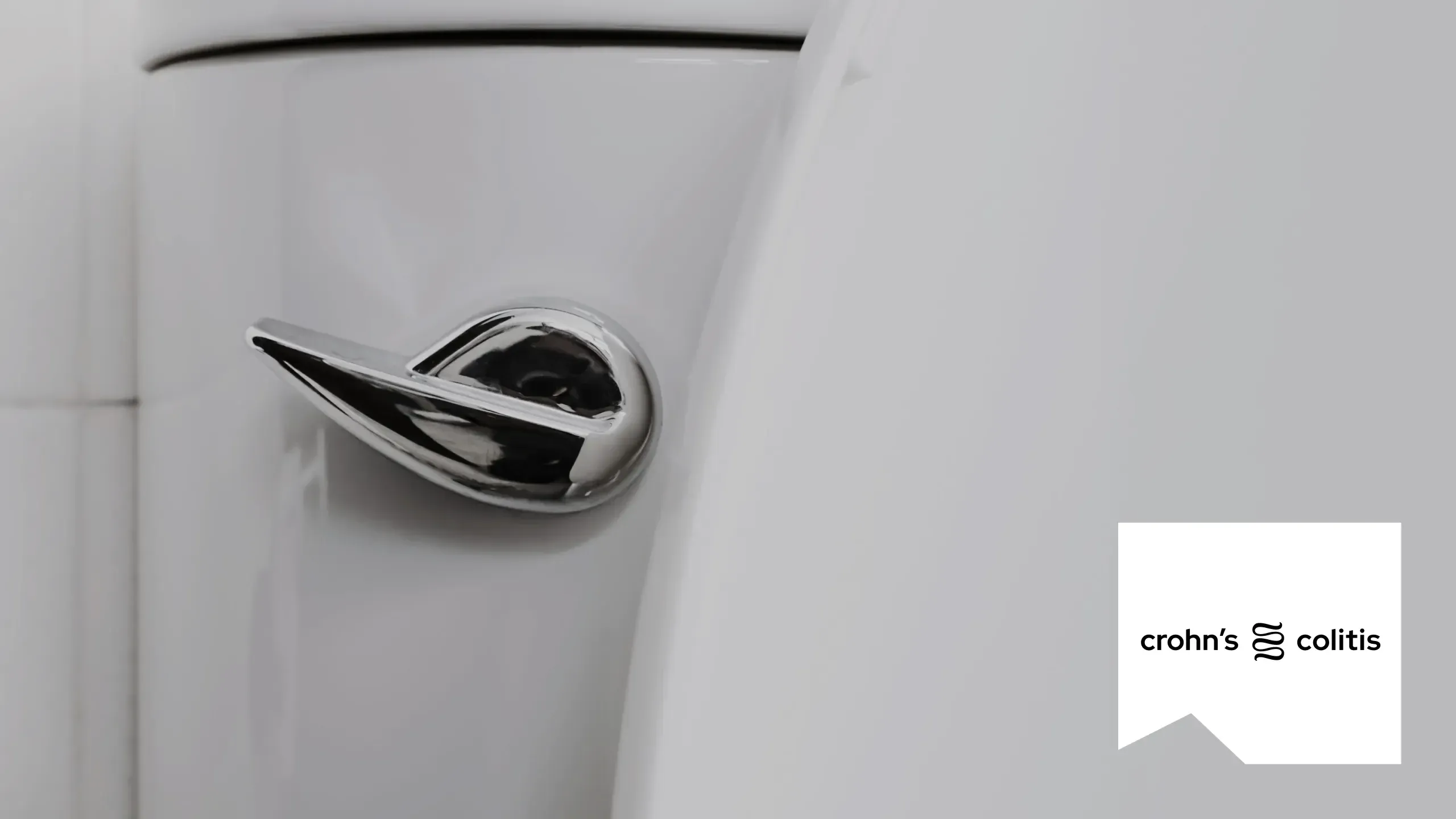 A chrome toilet flush handle in close-up, with the Crohn’s and Colitis Canada logo on a white panel in the corner