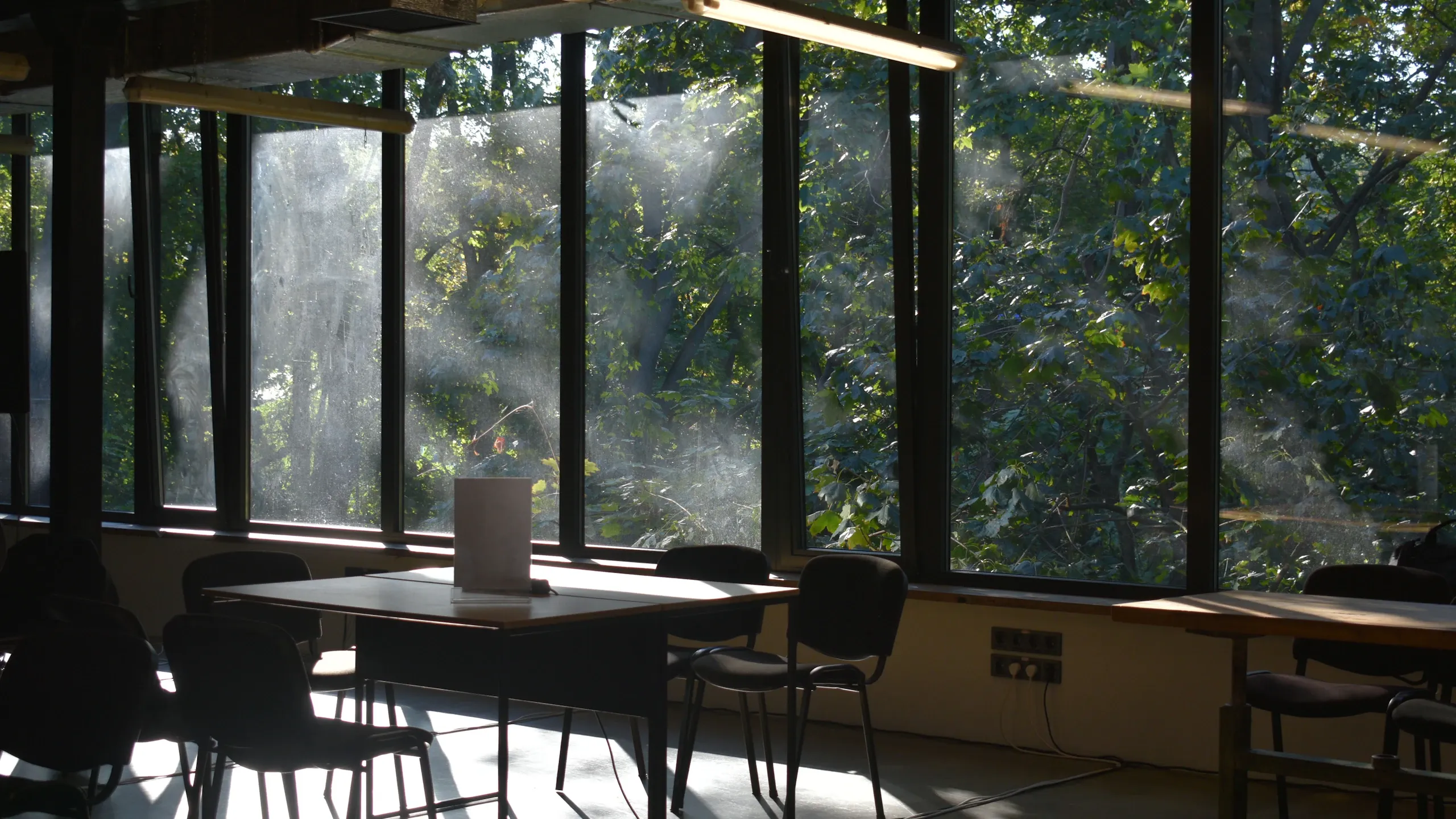 Sunlight streams through a wall of windows onto tables and chairs, with trees outside.
